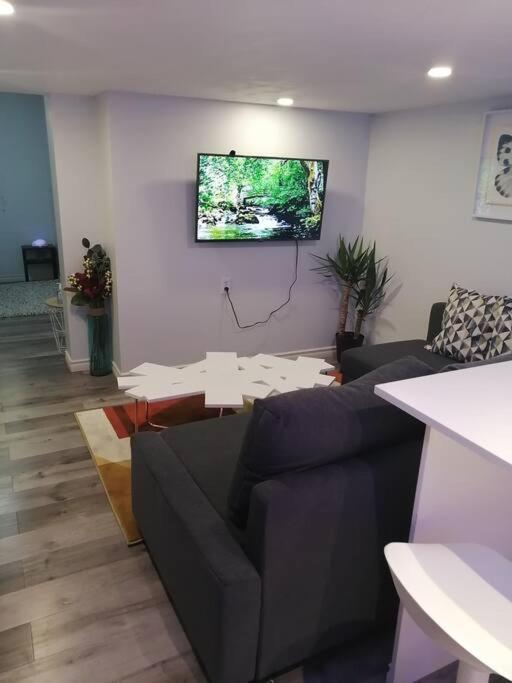 Apartamento Cozy Nest Basement Unit Hamilton Exterior foto