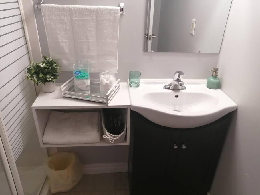 Apartamento Cozy Nest Basement Unit Hamilton Exterior foto