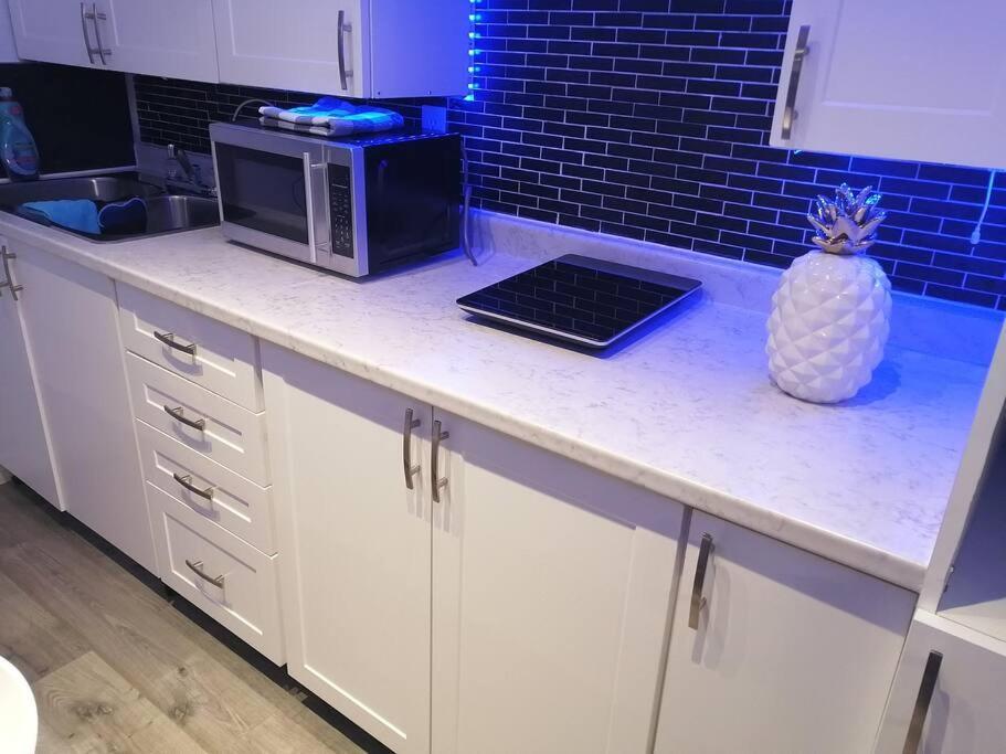 Apartamento Cozy Nest Basement Unit Hamilton Exterior foto